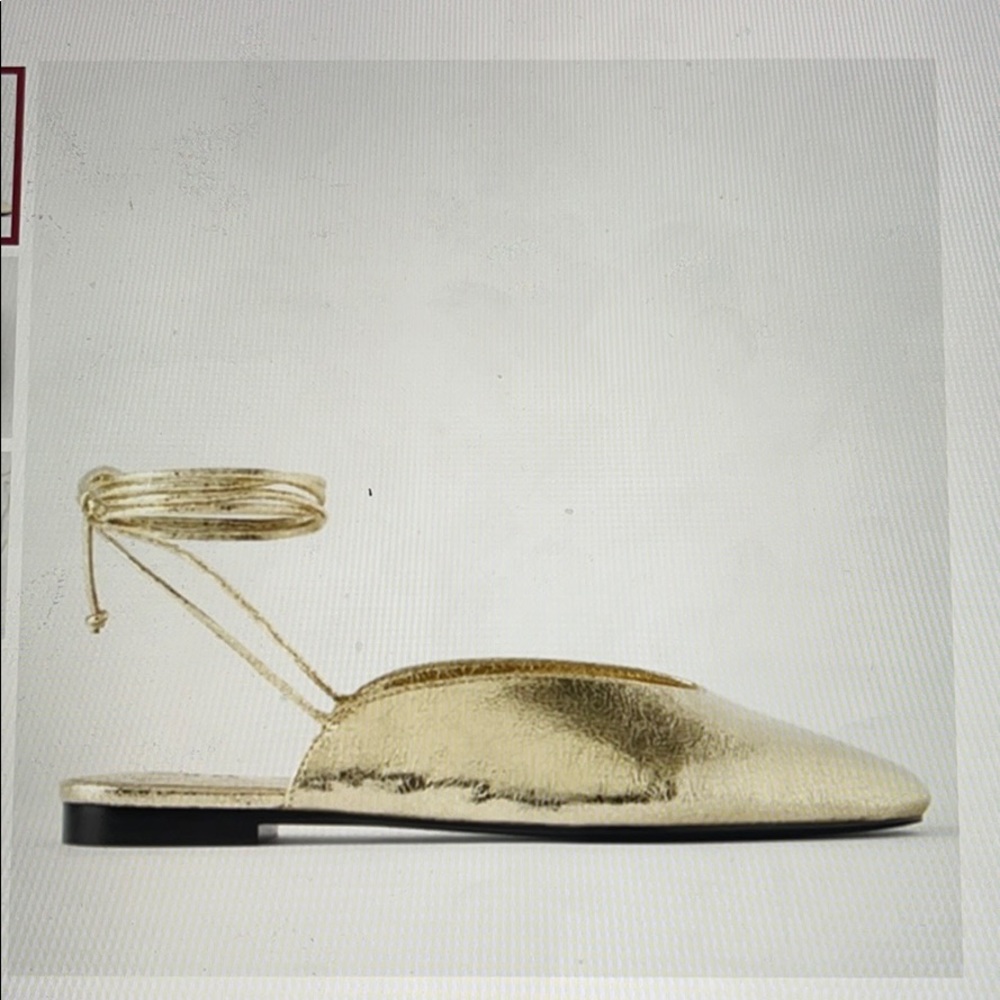 Zara Tied Metallic Ballet Flats